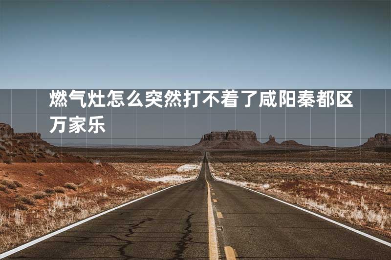 燃气灶怎么突然打不着了咸阳秦都区万家乐
