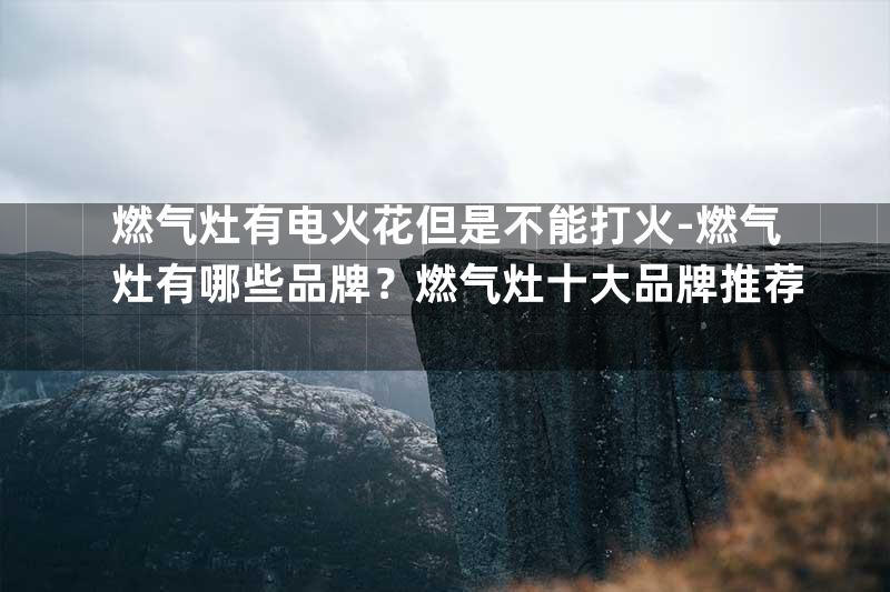 燃气灶有电火花但是不能打火-燃气灶有哪些品牌？燃气灶十大品牌推荐