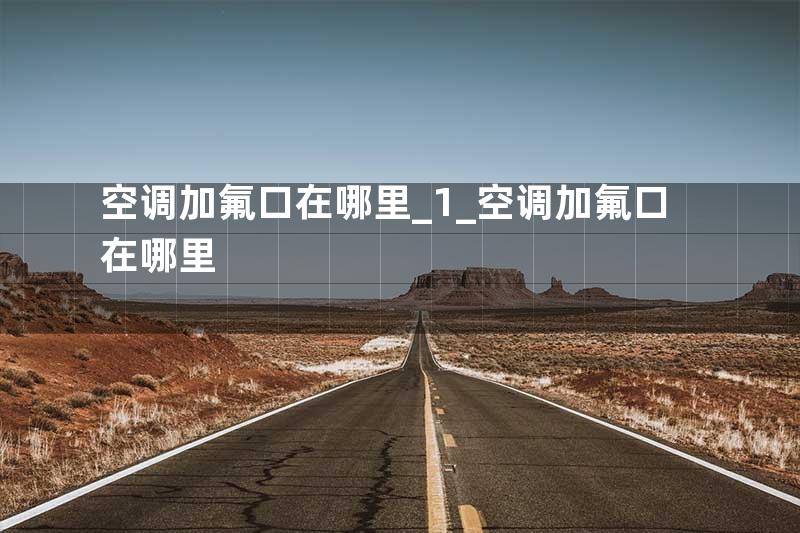 空调加氟口在哪里_1_空调加氟口在哪里