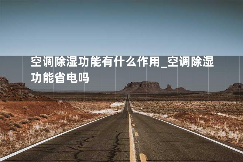 空调除湿功能有什么作用_空调除湿功能省电吗