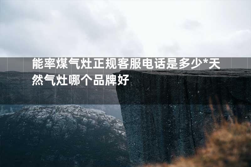能率煤气灶正规客服电话是多少*天然气灶哪个品牌好