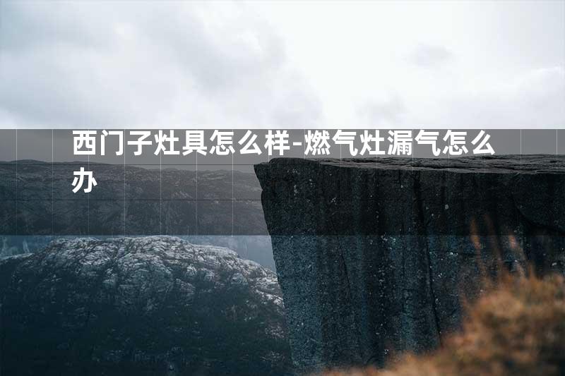 西门子灶具怎么样-燃气灶漏气怎么办